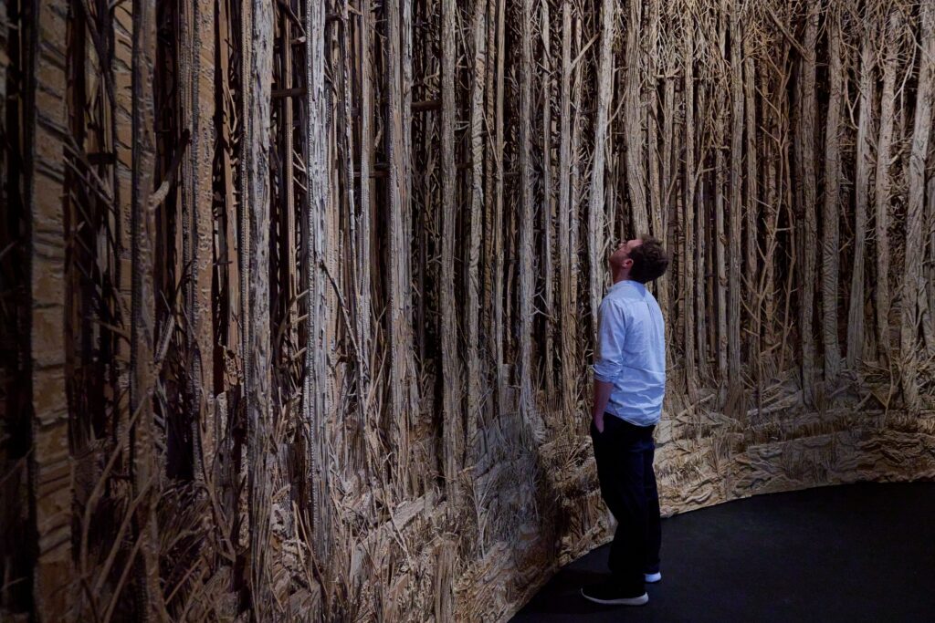 A photo of a man looking up at a large panoramic art installation of a forest of tall trees carved out of cardboard.